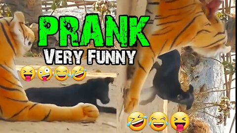 Prank : Prank the dog until it is startled, using a tiger statue. Part 3