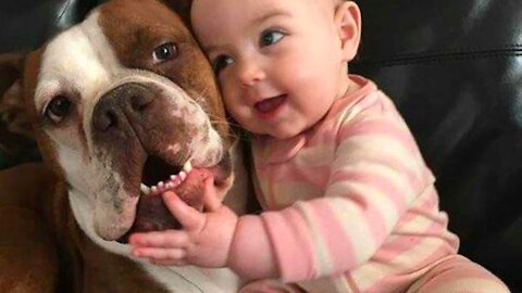 Baby fun Funny video with Dog