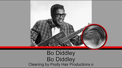Bo Diddley, by Bo Diddley