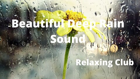 Beautiful Deep Rain Sound for Stress Relief || Rain Sound,Relaxing Music