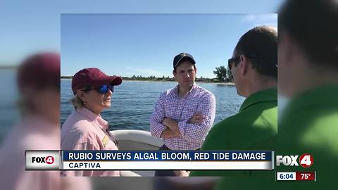 U.S. Senator Marco Rubio tours algal bloom, red tide damage in Captiva