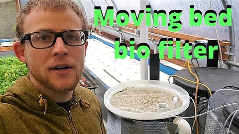 Moving bed bio filter- aquaponics filtration