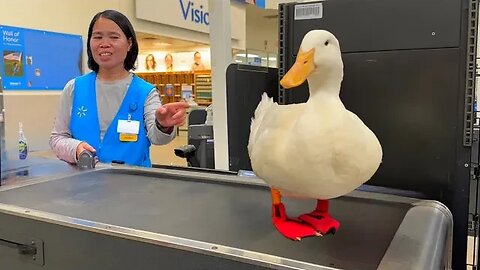 I took my duck to Walmart