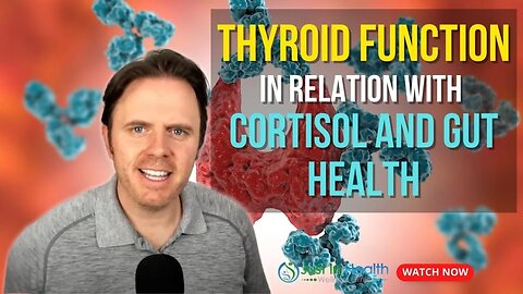 Thyroid Function in Relation with Cortisol and Gut Health