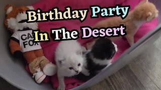 Birthday Party In The Desert