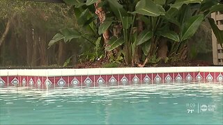 Paramedics save child from nearly drowning at family's pool in Tarpon Springs