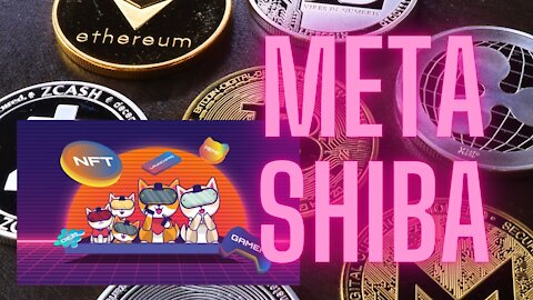 Meta Shiba new token
