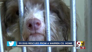 111 dogs rescued from Warren County home