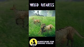 WILD HEARTS [SHORTS 011]