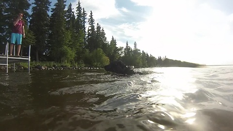 Dog dives to bottom of lake to retrieve golf ball