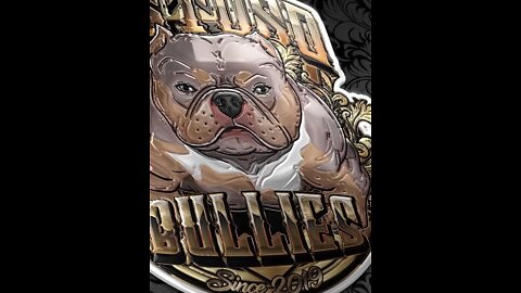 American bully Puppy 1