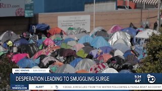 Desperation leading to smuggling surge