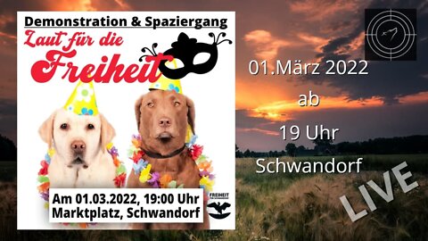 RESTREAM I Spaziergang in Schwandorf am 01.03.2022