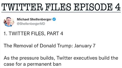 #twitterfiles EPISODE 4 THE REMOVAL OF DONALD TRUMP PART 2