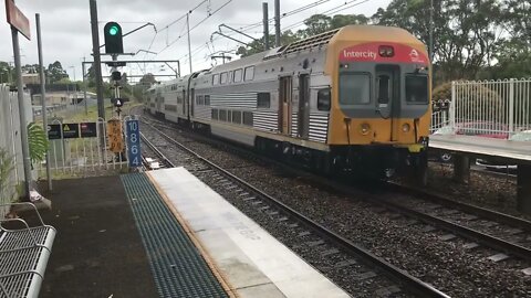 NSW Train Vlogs 24 Morisset