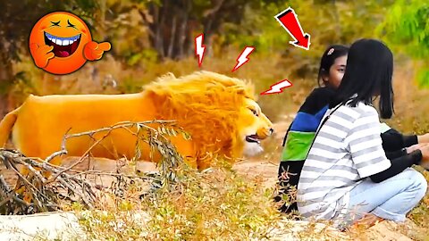 Big Lion vs Prank Human - Must watch most funny video