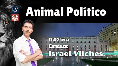 Animal Político: la guerra de Ucrania e Hispanoamérica, con Israel Vilches y Daniel Prieto Vial