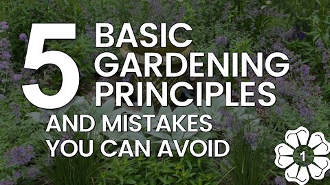 5 Basic Gardening Principles & Mistakes You Can Avoid