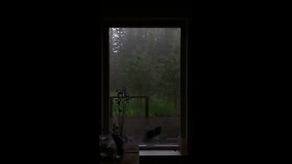 Ambient Rainfall Sounds to Help with Anxiety, Sleep, Relaxing, and Meditate | 1 HOUR