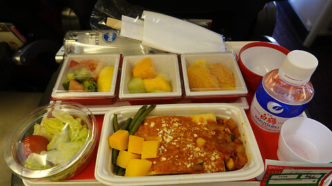 Japan Airlines 767 ECONOMY