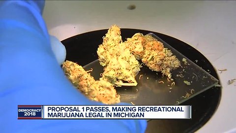 You can legally smoke pot in Michigan in the next month: What you need to know