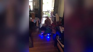 Golden Retriever Gets A Hoverboard Ride