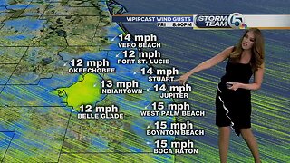 South Florida Thursday morning forecast (10/24/19)