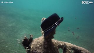 Une statue d'âne découverte au fond de la Mer Rouge