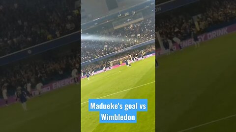 Madueke's goal vs Wimbledon #short #chelseavswimbledon #chelsea