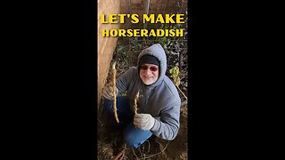 How to make Homemade Prepared Horseradish #Shorts