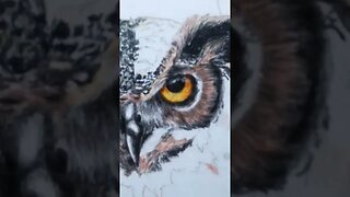 Drawing an Owl in Pencil Crayon