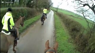 Ce cheval dérape sur une route glissante