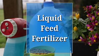 Liquid Feed Fertilizer: Mix and Measure for Potted Roses and Other Plants