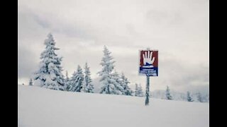 Ce skieur survit à une avalanche !