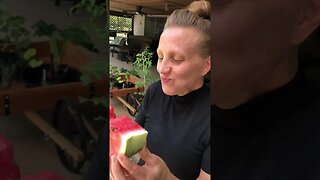 Summertime FLASHBACKS! 🍉❤️ #shorts #viral #trending #tiktok #garden #watermelon