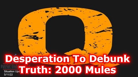 PATRIOT UNDERGROUND SITUATION UPDATE: 2000 MULES - DESPERATION TO DEBUNK TRUTH