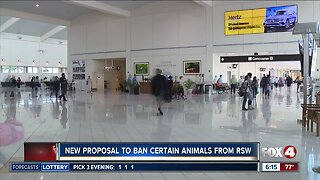 Lee County discussing allowing only service animals in airport