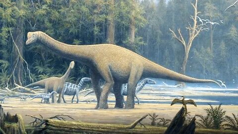Sauropods - The Largest Land Animals of All Time