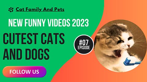 New Funny Videos 2023 😍 Cutest Cats and Dogs 🐱🐶 Part 07