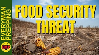 This Will Cause Worse Food Shortages and Higher Prices in 2023 - Stockpile More Food Now!