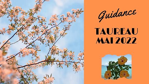 #TAUREAU - GUIDANCE MAI 2022 - ** NOUVEAU CONTRAT ... NOUVELLE VIE **