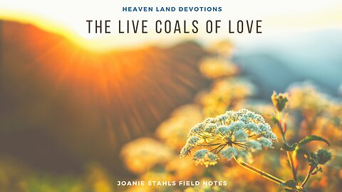 Heaven Land Devotions - The Live Coals of Love