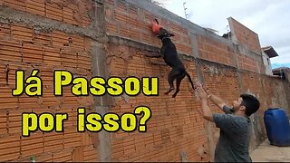 Doeu lá no coração kkkk Mas fas parte