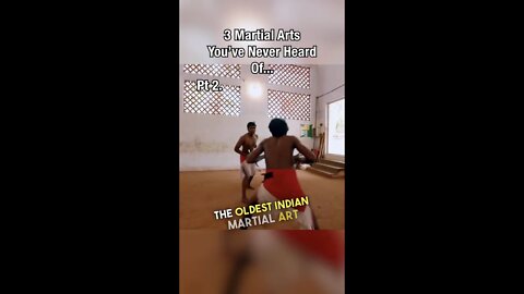 3 RAREST Martial Arts (CRAZY!)😳 #shorts #martialarts