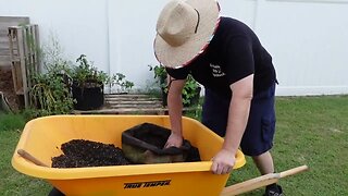 Grow bag potato harvest