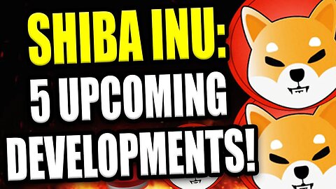 SHIBA INU Devs Working on THESE 5 Things! Which are YOU Most Excited For?