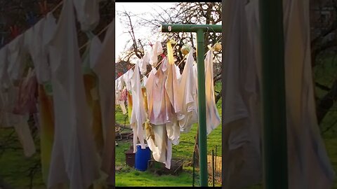 Laundry Drying in the Countryside #shorts