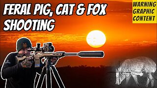 Feral Pig, Feral Cat & Fox Shooting with my new $15,000 Custom 308Win Rifle