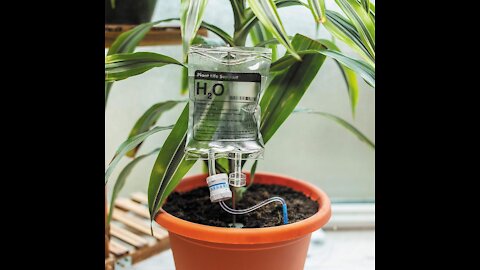 Plant Life Support Drip 😍 Cool Gadgets