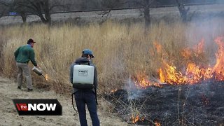 University Lake School students conduct controlled burn